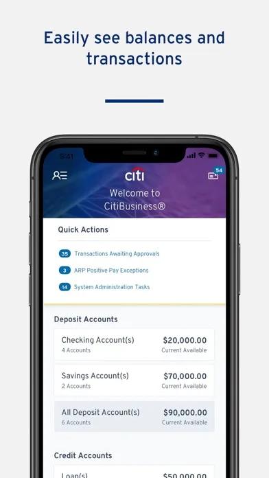 CitiBusiness® Mobile screenshot 3
