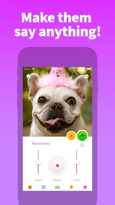 My Talking Pet screenshot 1
