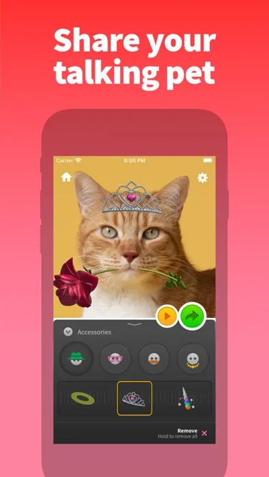 My Talking Pet screenshot 2