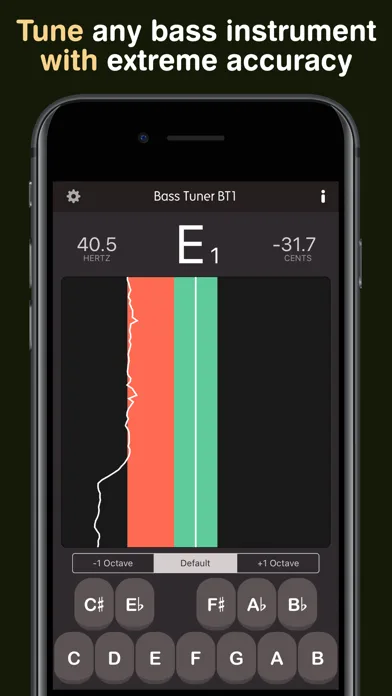 Bass Tuner BT1 screenshot 1