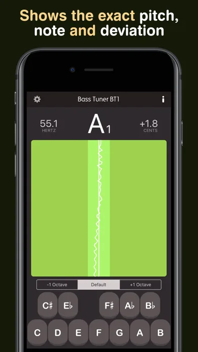 Bass Tuner BT1 screenshot 2