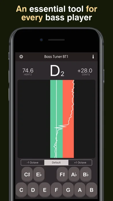 Bass Tuner BT1 screenshot 3