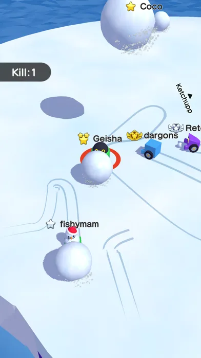 Snowball.io™ screenshot 2