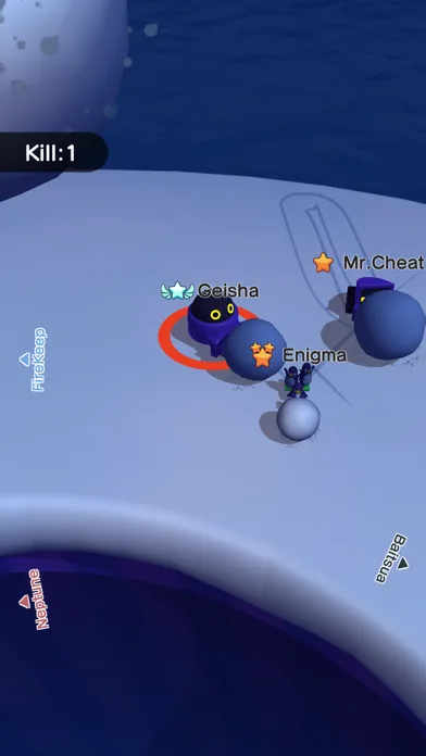 Snowball.io™ screenshot 4