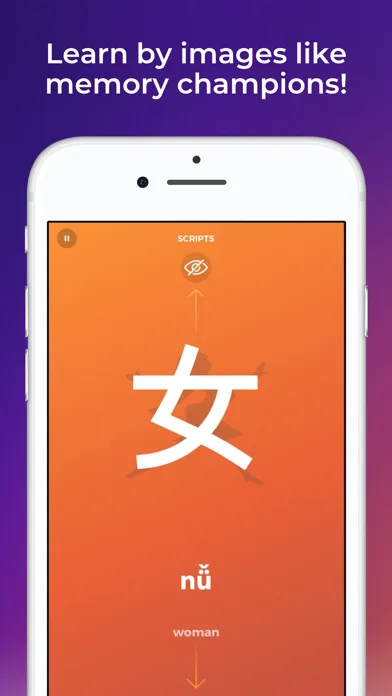 Scripts: Learn Chinese writing screenshot 1