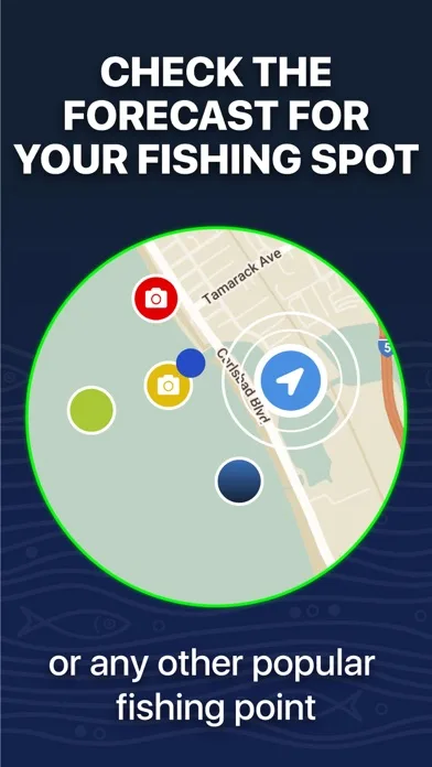 Fishing Forecast - TipTop App screenshot 3