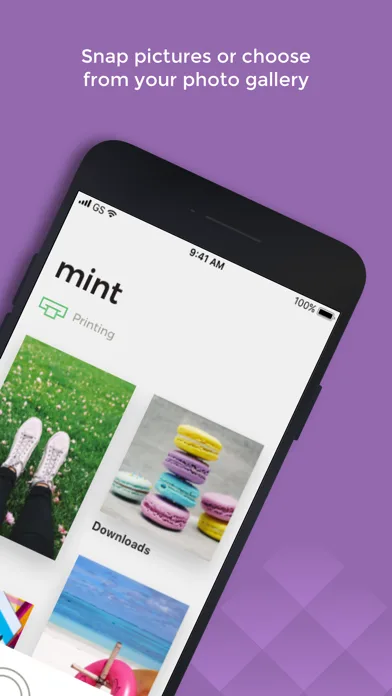 Mint Printer screenshot 2