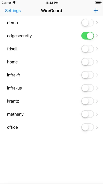 WireGuard screenshot 1