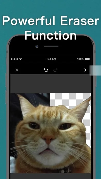 WSTicK screenshot 3