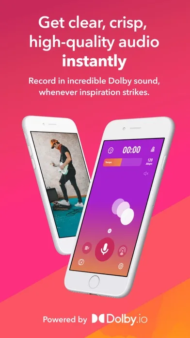 Dolby On: Record Audio & Video screenshot 1