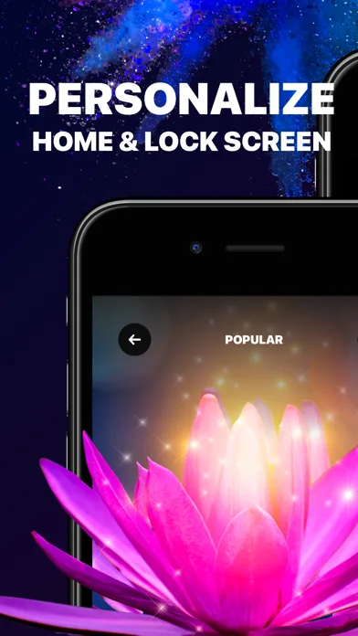 Live Wallpaper & Wallpapers HD screenshot 1