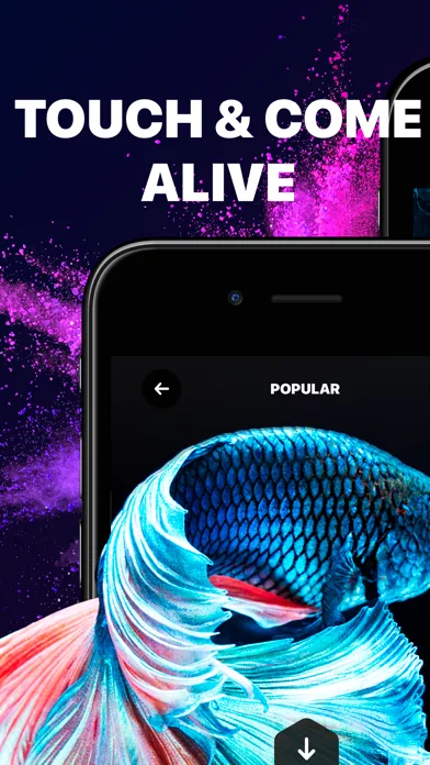 Live Wallpaper & Wallpapers HD screenshot 3