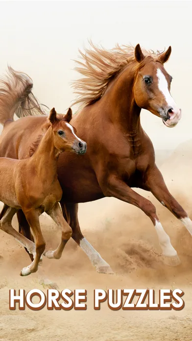 Horse Jigsaw Puzzle Games screenshot 1