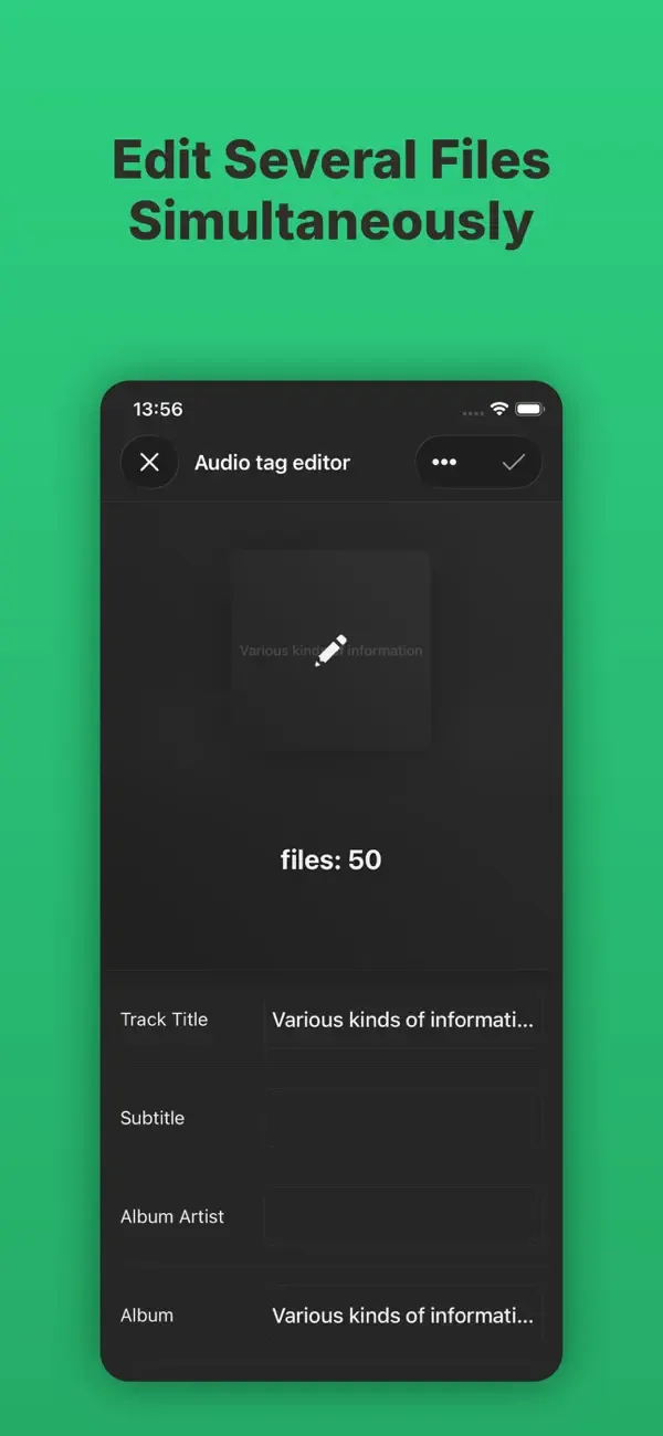 Evertag: Music Tag Editor screenshot 4