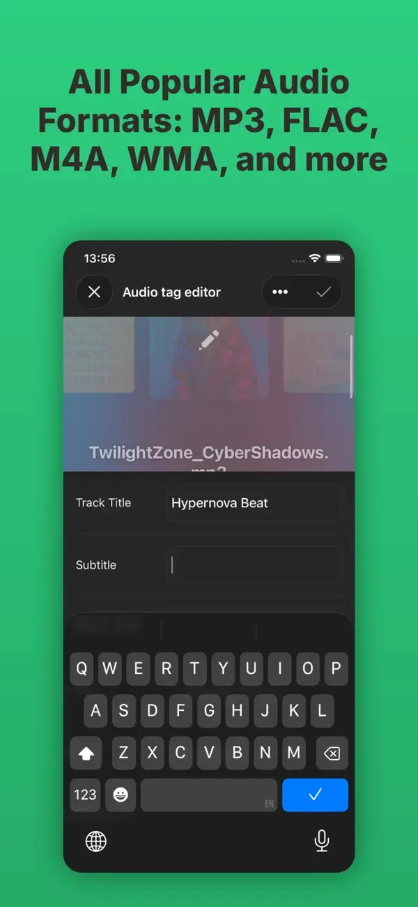 Evertag: Music Tag Editor screenshot 5