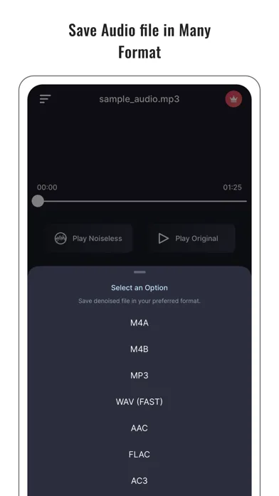 Audio Noise Reducer & Recorder screenshot 4