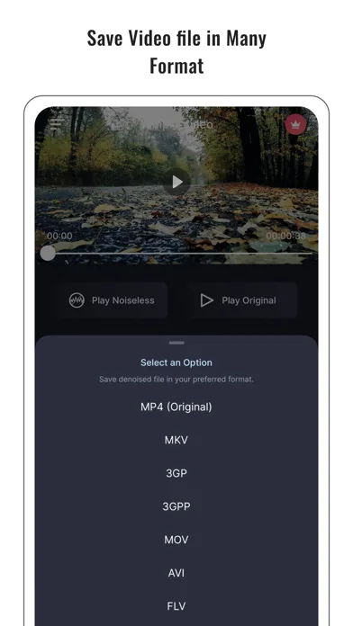 Audio Noise Reducer & Recorder screenshot 5