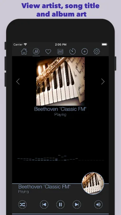 Classical Music Player  ٞ screenshot 3