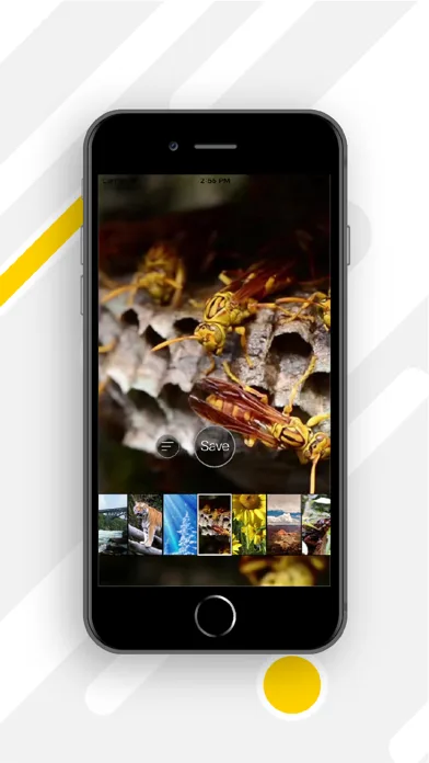 4K HD Live Wallpapers screenshot 4