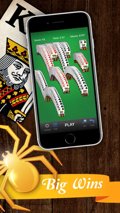 Classic Spider Solitaire Cards screenshot 3