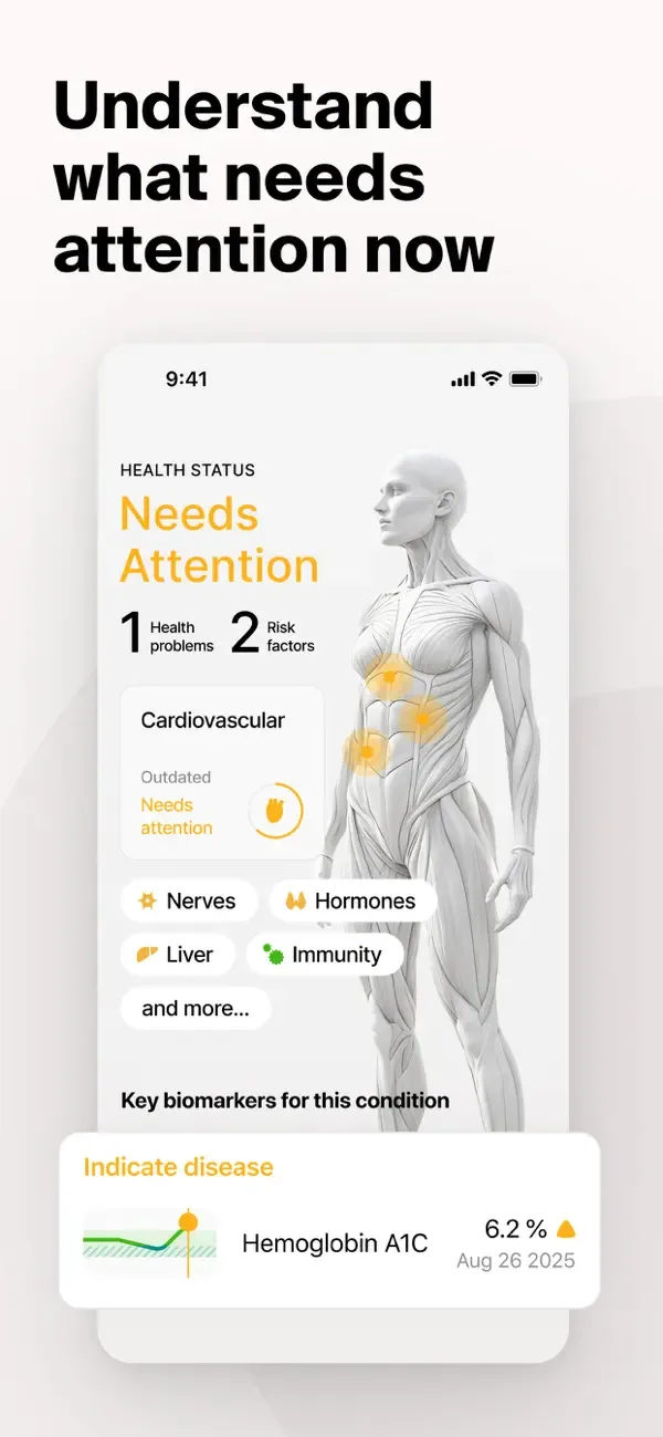 Ornament: Your Health Coach screenshot 4