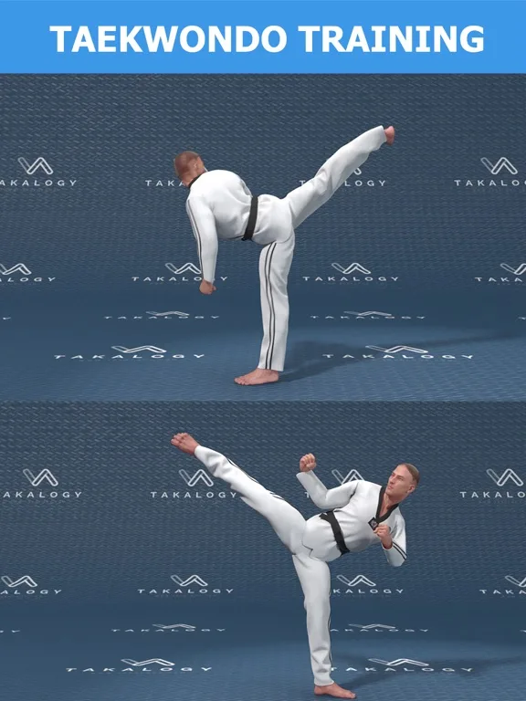 Mastering Taekwondo Training screenshot 2