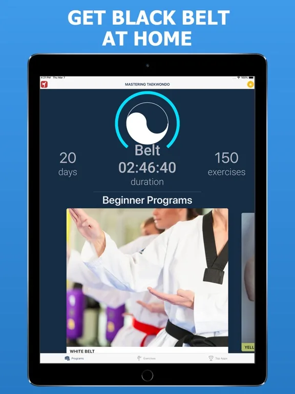 Mastering Taekwondo Training screenshot 3
