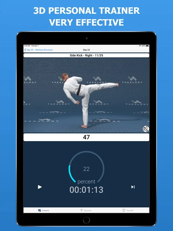 Mastering Taekwondo Training screenshot 4