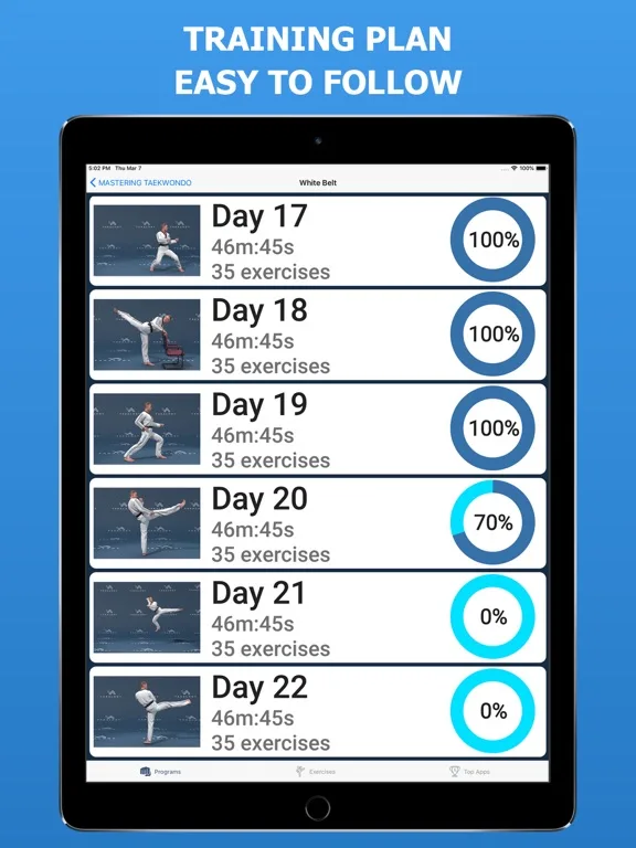 Mastering Taekwondo Training screenshot 5