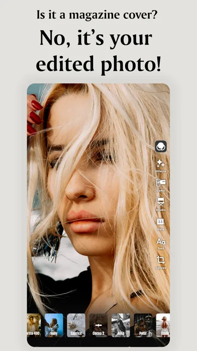 PRESETS: Filters for Pictures screenshot 2