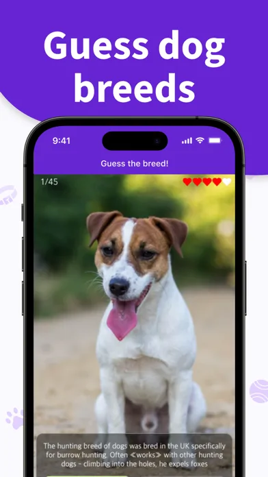 Dog Breeds Training Games Life screenshot 3