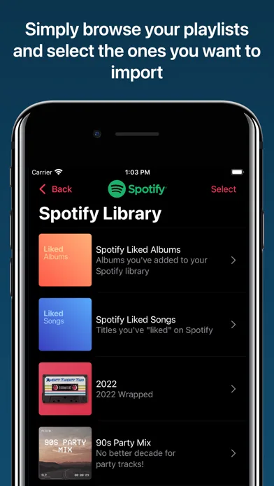 Playlisty for Apple Music screenshot 2