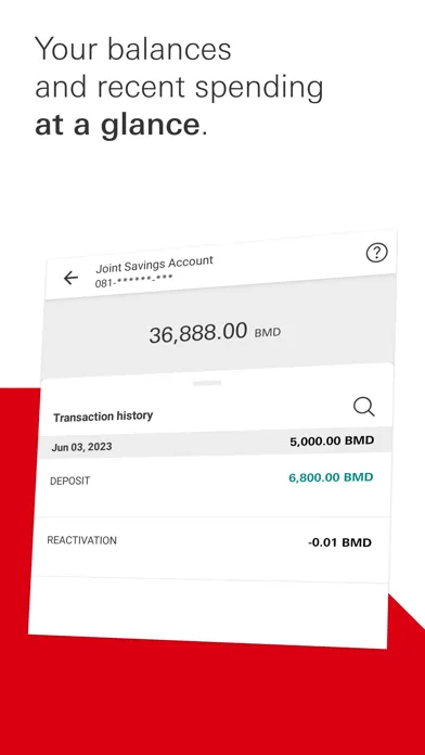 HSBC Bermuda screenshot 2