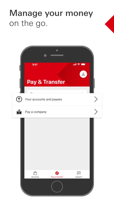 HSBC Bermuda screenshot 4