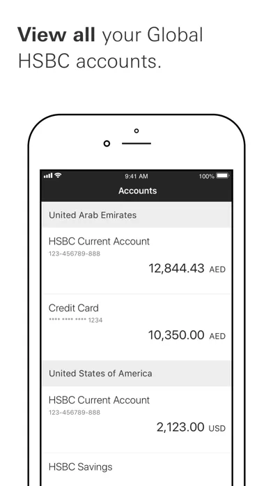 HSBC UAE screenshot 4