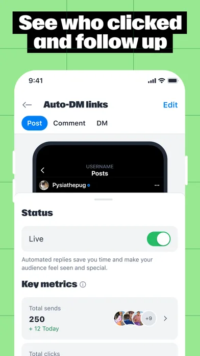 Manychat screenshot 2