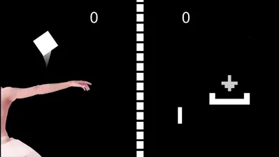 Responsibility Zero screenshot 3
