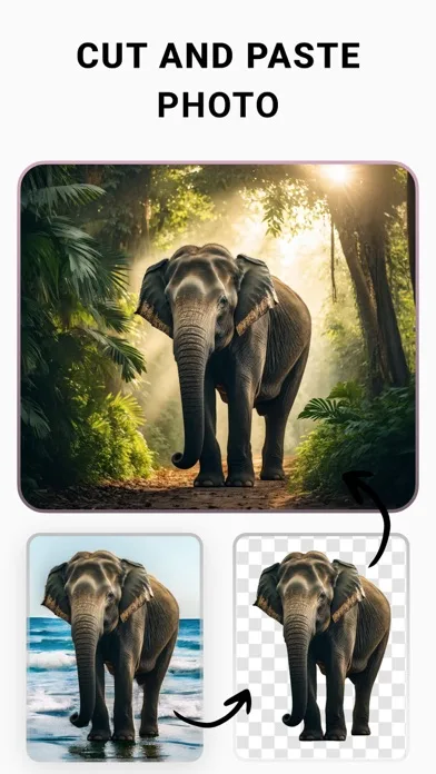 Photo Cut: Cutout pro & paste screenshot 4