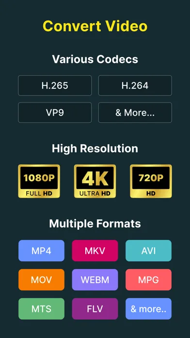 Video Converter and Compressor screenshot 2