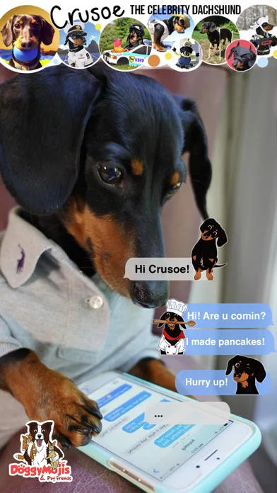 CrusoeMoji - Dachshund sticker screenshot 1