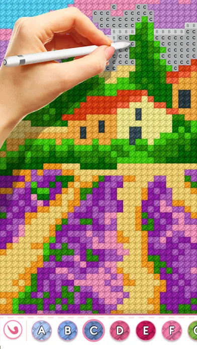 Cross-Stitch Masters screenshot 1