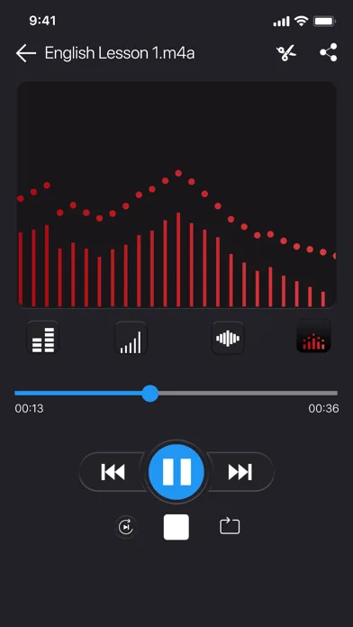Voice Recorder - VOZ Pro screenshot 1