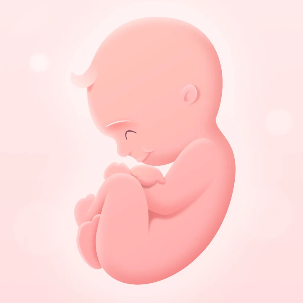 My Pregnancy | Tracker & App