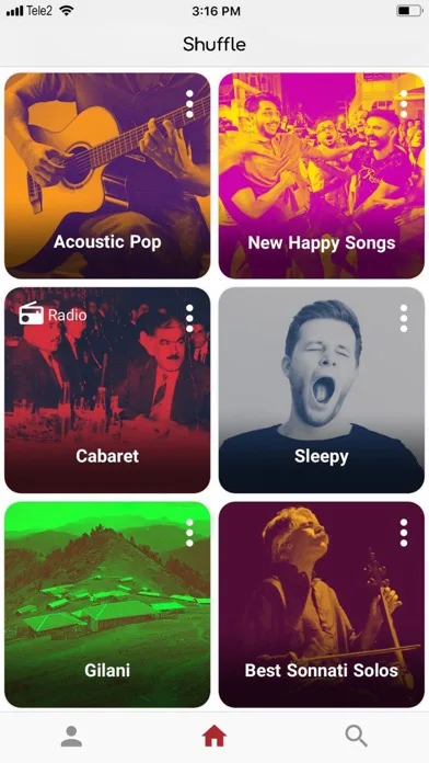 Shuffle Music screenshot 5