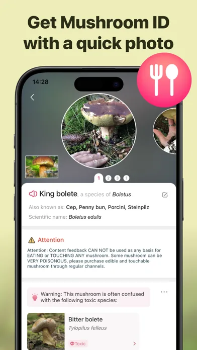 Picture Mushroom: Identifier screenshot 2