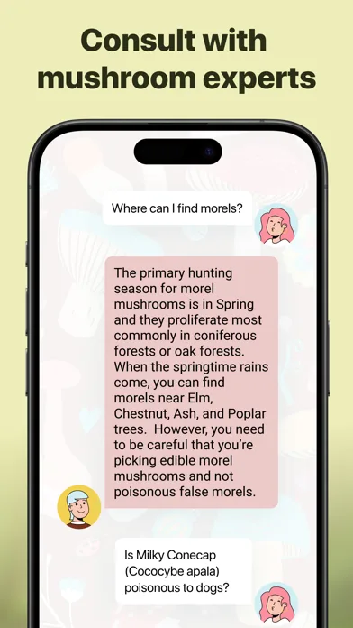 Picture Mushroom: Identifier screenshot 5