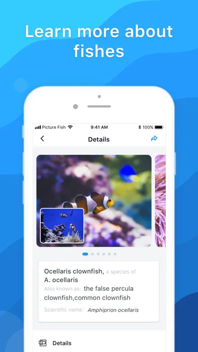Picture Fish - Fish Identifier screenshot 4
