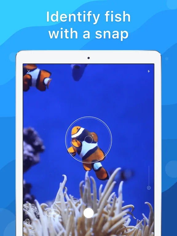 Picture Fish - Fish Identifier screenshot 5