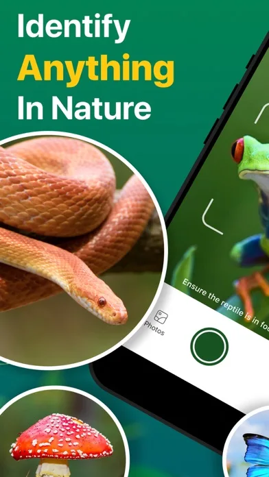 Picture Nature: Animal ID screenshot 1