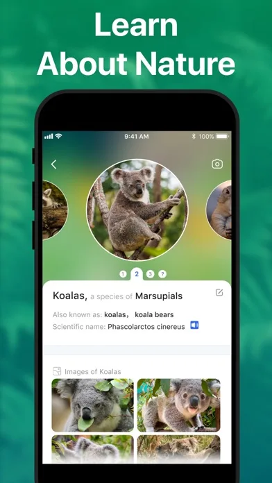 Picture Nature: Animal ID screenshot 3